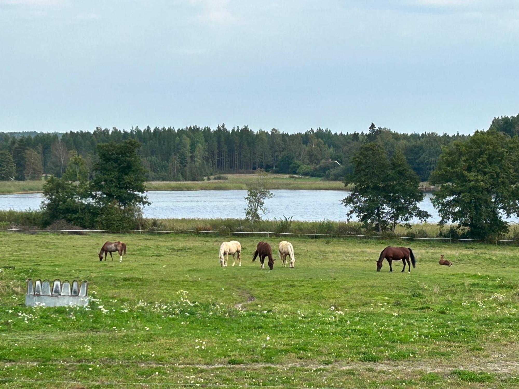 Ulvsby Ranch Western Camp Karlstad Eksteriør billede