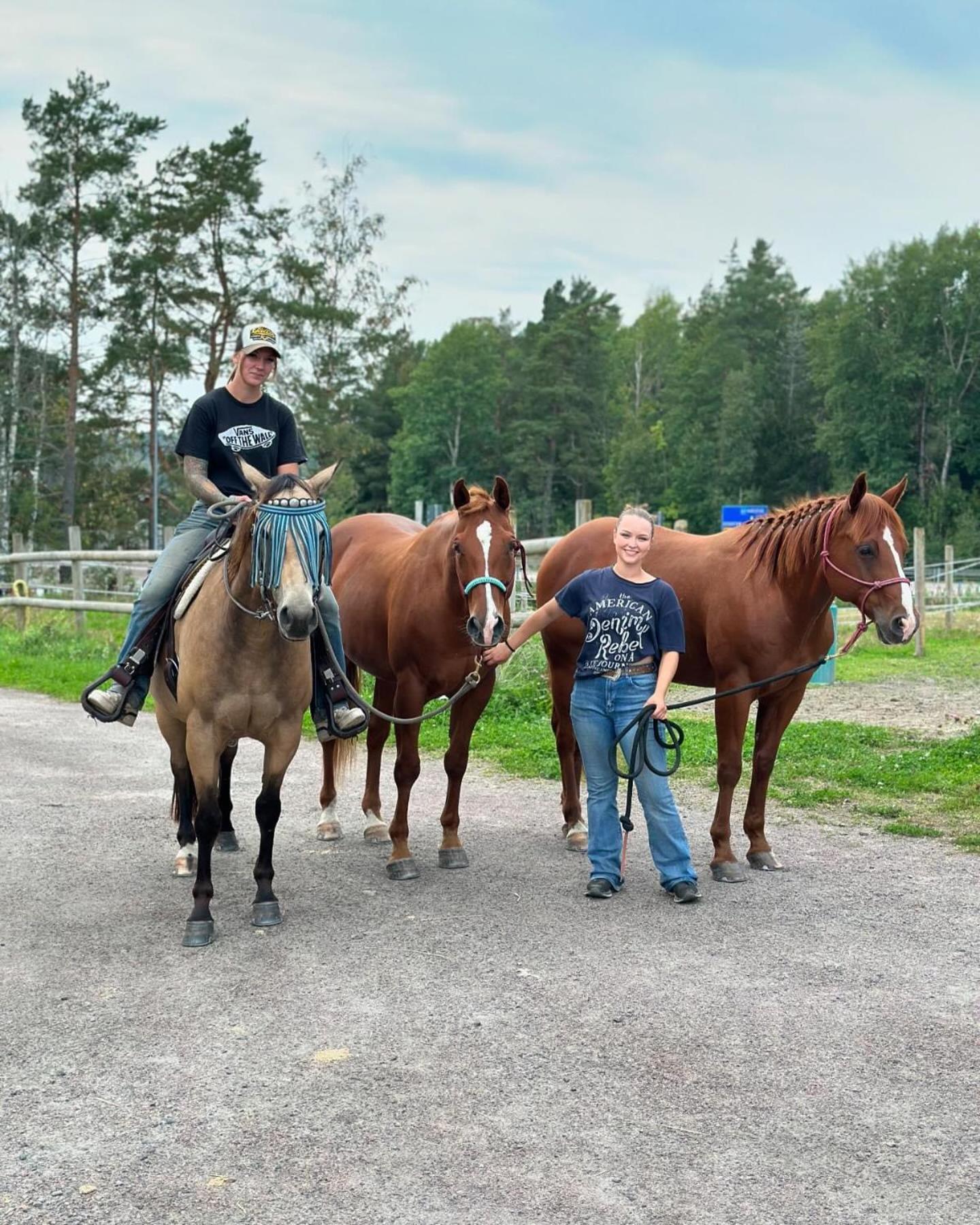 Ulvsby Ranch Western Camp Karlstad Eksteriør billede